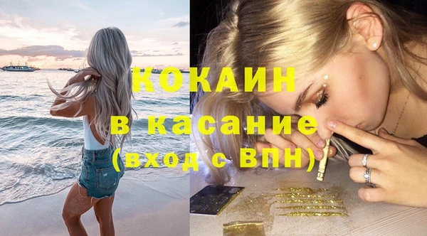 винт Абаза