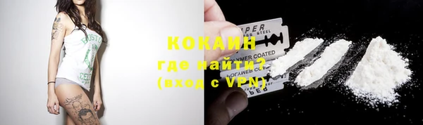 винт Абаза