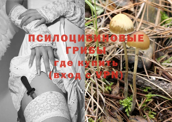 бутират Абинск