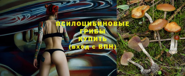 сатива Абдулино