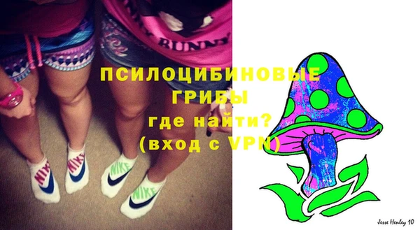 соль курить ск Алексеевка