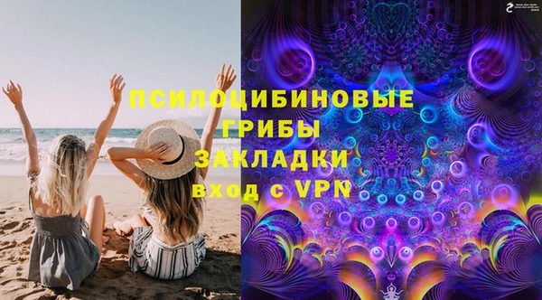 винт Абаза
