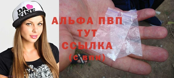 винт Абаза