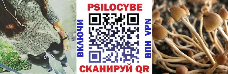 Псилоцибиновые грибы Cubensis Яхрома